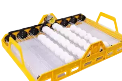 Лоток автоматического переворота для инкубатора на 72 яйца с мотором 220в