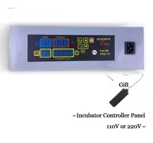 Терморегулятор для инкубатора HHD 485696112